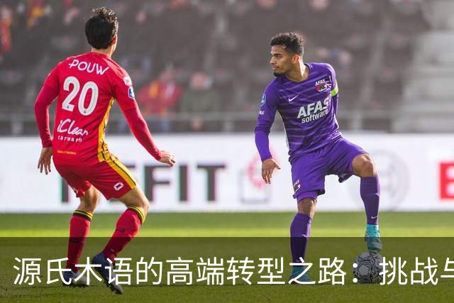 源氏木语的高端转型之路：挑战与机遇并存